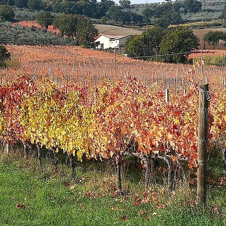 Antico Gioiello Umbro , Appartamento Con Terrazza Foligno Zewnętrze zdjęcie