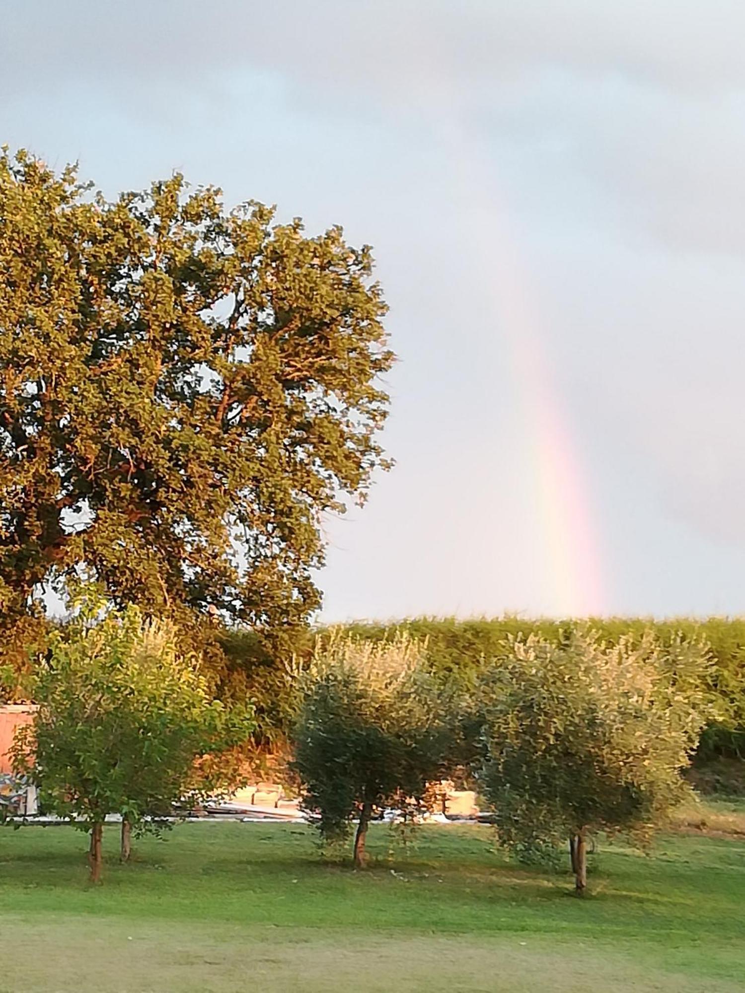 Antico Gioiello Umbro , Appartamento Con Terrazza Foligno Zewnętrze zdjęcie