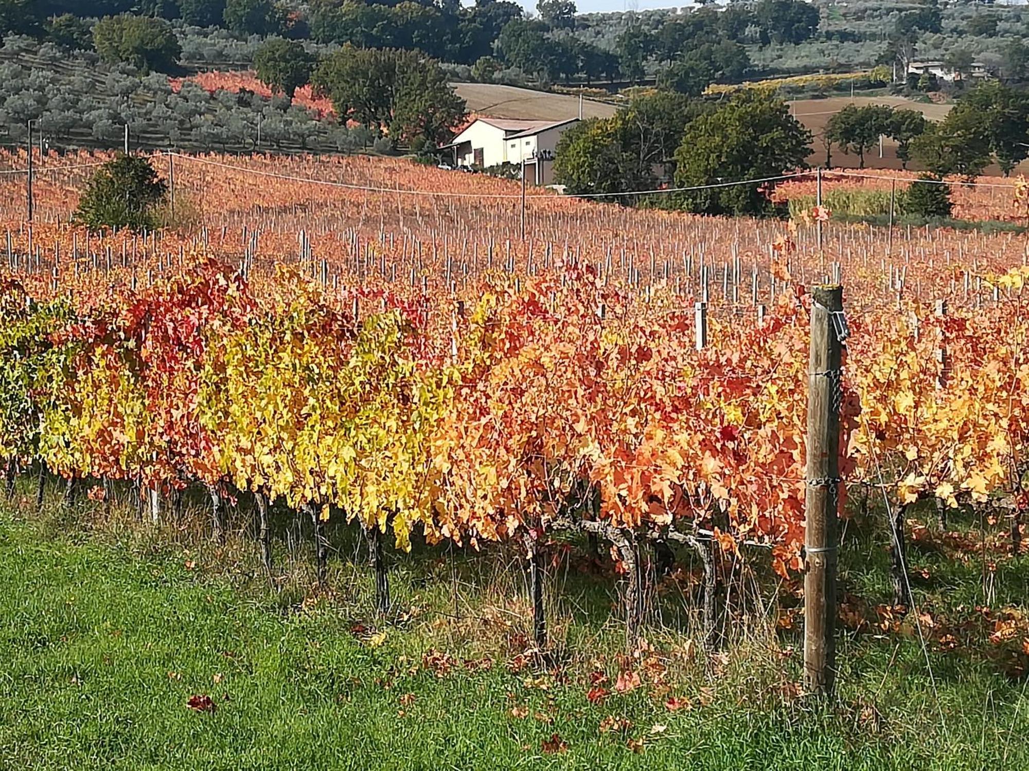 Antico Gioiello Umbro , Appartamento Con Terrazza Foligno Zewnętrze zdjęcie