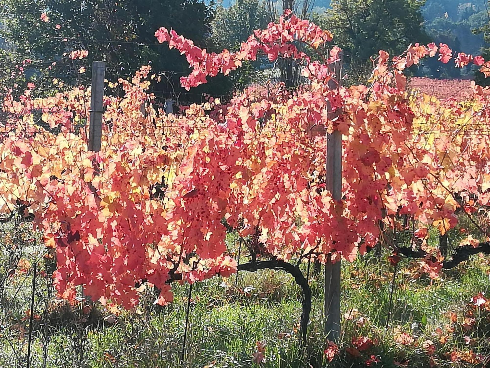 Antico Gioiello Umbro , Appartamento Con Terrazza Foligno Zewnętrze zdjęcie